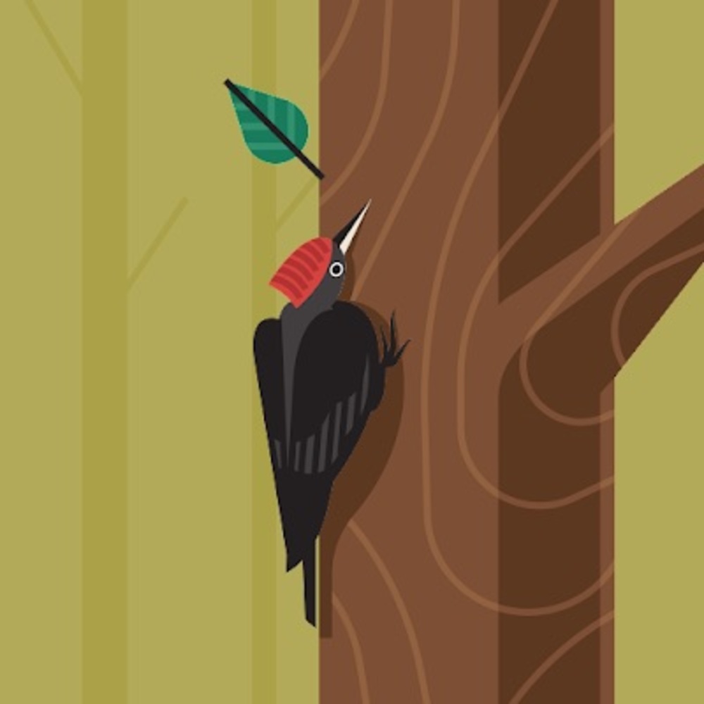 Meet your Posher, Brookelynn